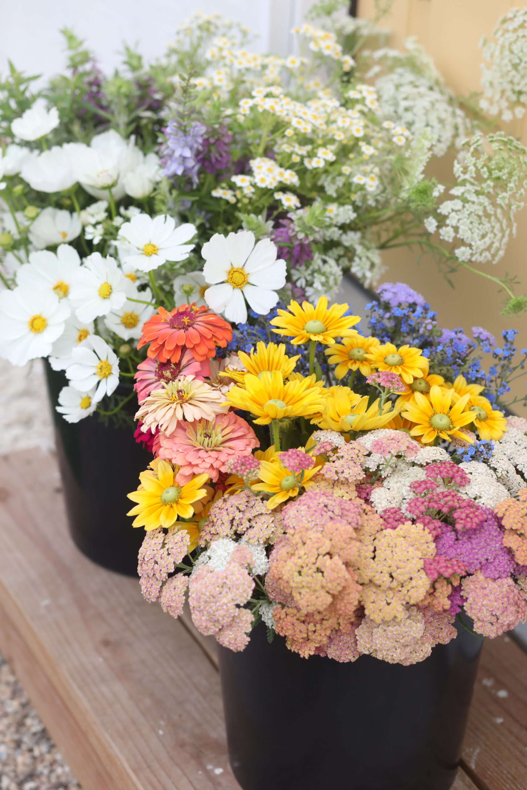 Bulk Buckets of Blooms - Image 2