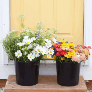 Bulk Buckets of Blooms