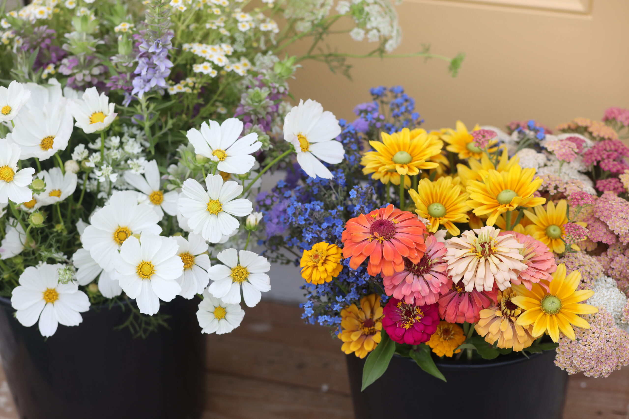 Bulk Buckets of Blooms - Image 4